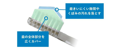奇跡の歯ブラシ②-900.jpg